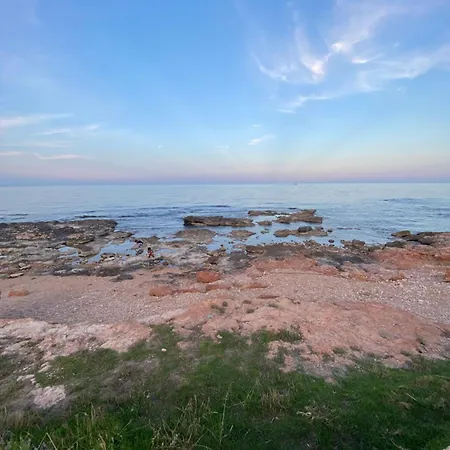 La Recoleta Torrevieja