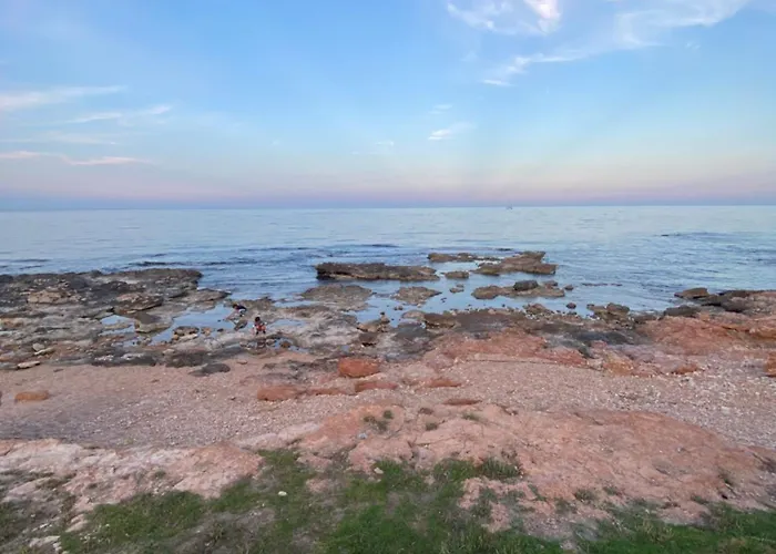 La Recoleta Torrevieja