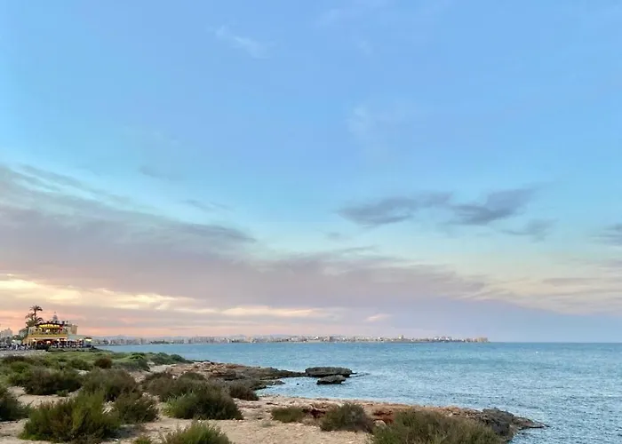 La Recoleta Torrevieja